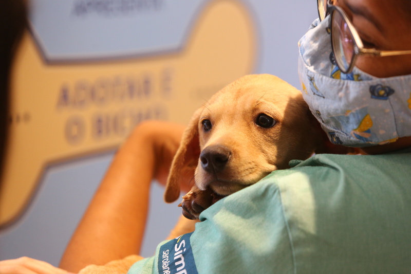 Shopping Iguatemi Ribeirão Preto promove Feira de Adoção de animais durante mês de abril