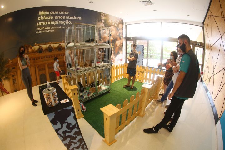 Maio é mês de adoção pet no Shopping Iguatemi Ribeirão Preto