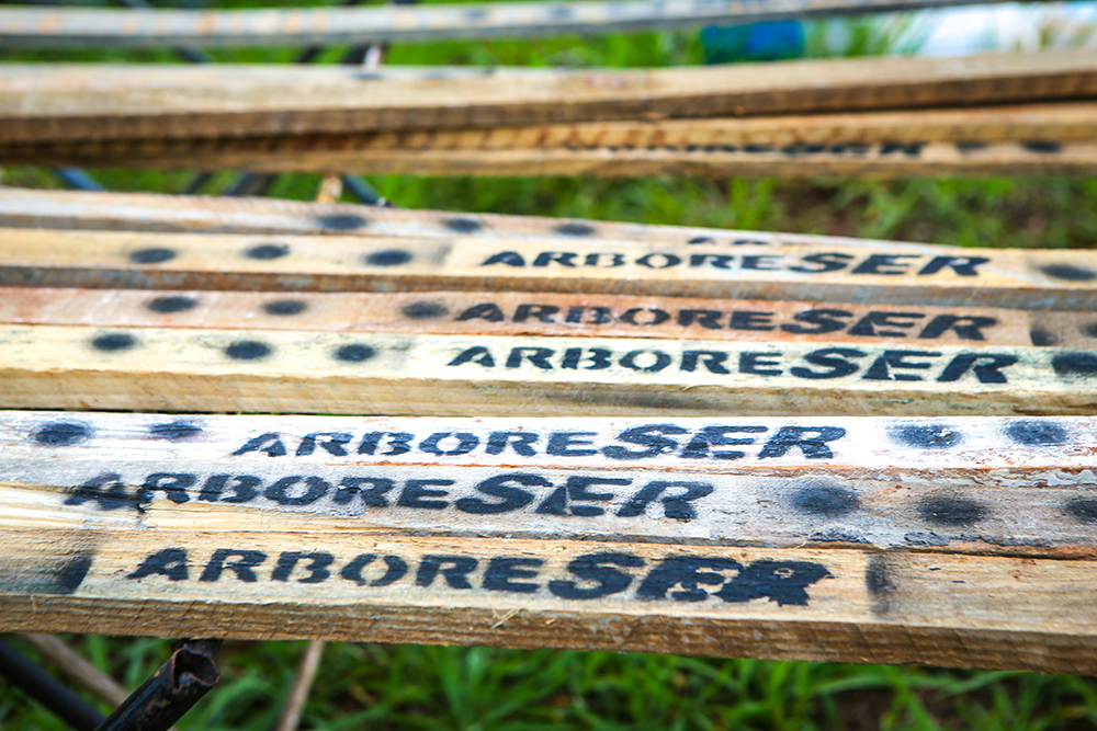 Projeto ArboreSer participa de ação da Semana do Meio Ambiente