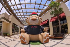 Black Friday 2022: Shopping Iguatemi Ribeirão Preto prepara descontos especiais de até 80%