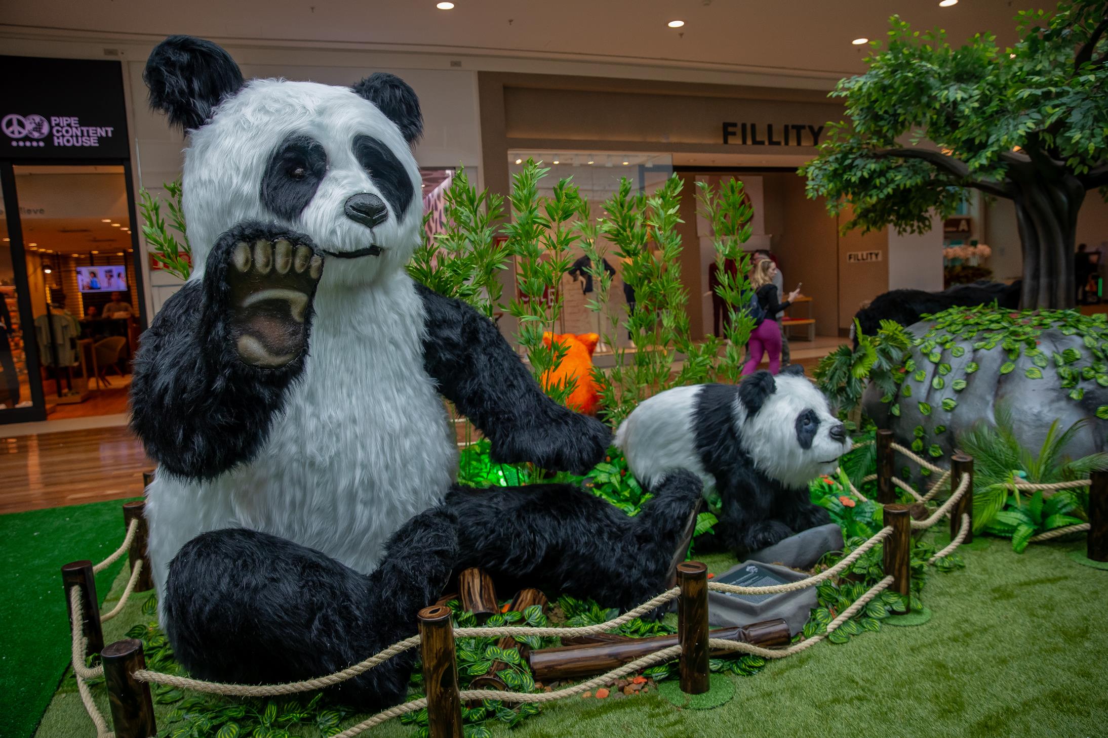 RibeirãoShopping recebe evento temático sobre ursos com exposição e parque de diversão indoor