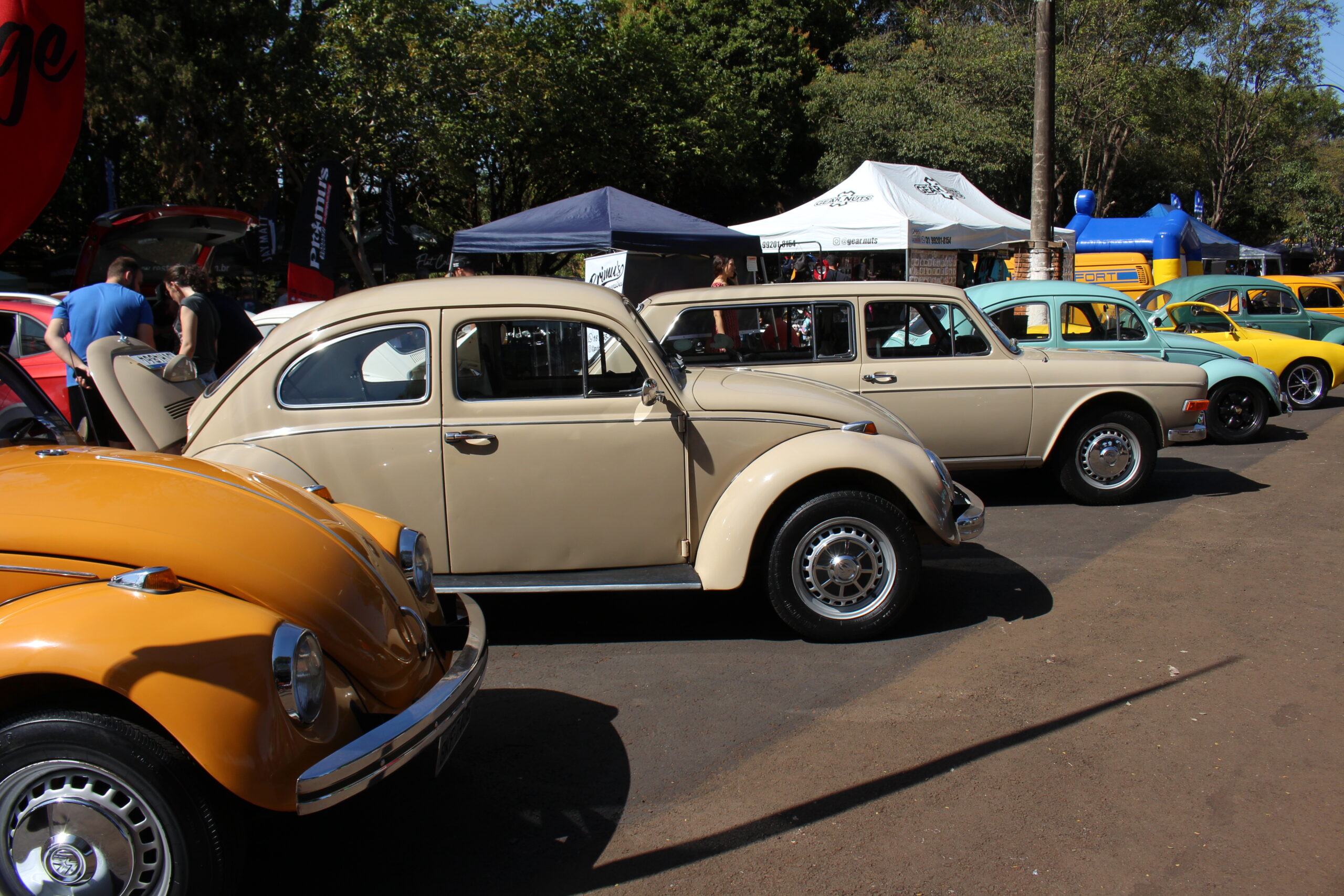 11ª edição do Califórnia Volks Brothers celebra paixão por carros antigos