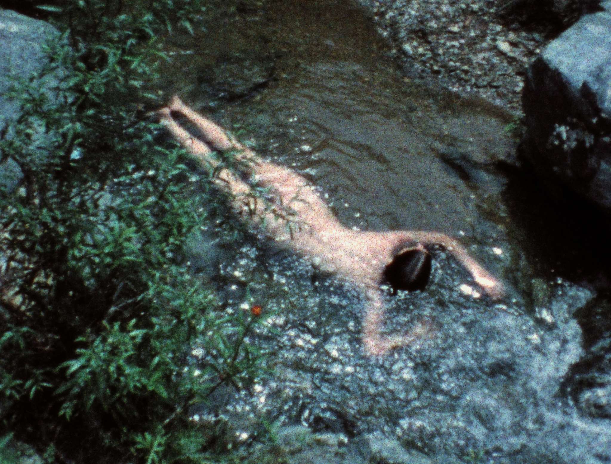 Sesc São Paulo apresenta as exposições “Ana Mendieta: Silhueta em Fogo” e “terra abrecaminhos”