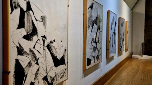 Casa Cotrim Belas Artes promove visita guiada com a artista Cenimar Soares em Ribeirão Preto