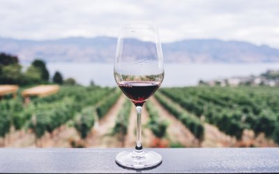 Acirp apoia Encontro de Turismo que discute potencial vitivinicultor da região
