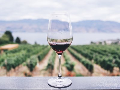 Acirp apoia Encontro de Turismo que discute potencial vitivinicultor da região