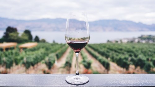 Acirp apoia Encontro de Turismo que discute potencial vitivinicultor da região