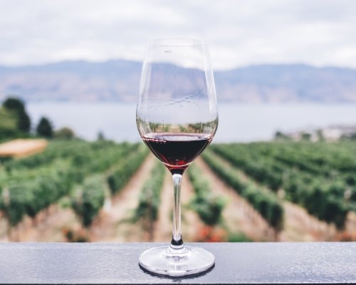 Acirp apoia Encontro de Turismo que discute potencial vitivinicultor da região