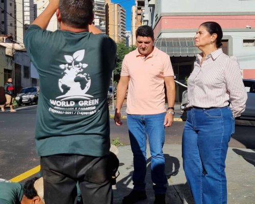 Acirp articula plantio de árvores no Centro junto à Prefeitura