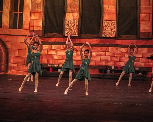 Instituição Aparecido Savegnago realiza oficinas gratuitas de danças na próxima terça-feira, dia 17