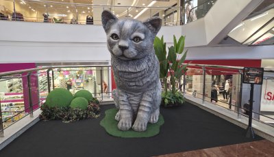 ShoppingSantaÚrsula recebe exposição gratuita inspirada no universo dos pets durante as férias
