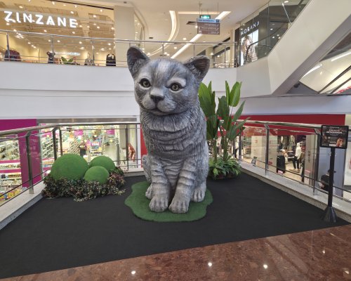 ShoppingSantaÚrsula recebe exposição gratuita inspirada no universo dos pets durante as férias