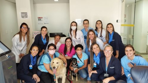 ‘Pets da Alegria’ levam descontração para pacientes do CAON de Ribeirão Preto