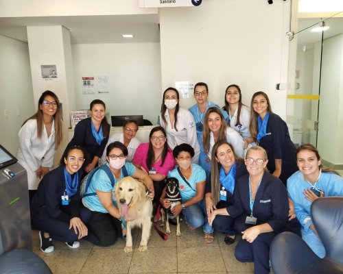 ‘Pets da Alegria’ levam descontração para pacientes do CAON de Ribeirão Preto