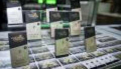 Com quatro estandes na 1ª Expo Cannabis Brasil Milgrows comemora profissionalização do setor