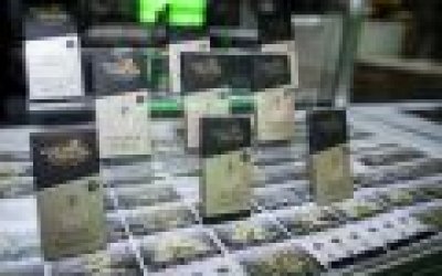 Com quatro estandes na 1ª Expo Cannabis Brasil Milgrows comemora profissionalização do setor