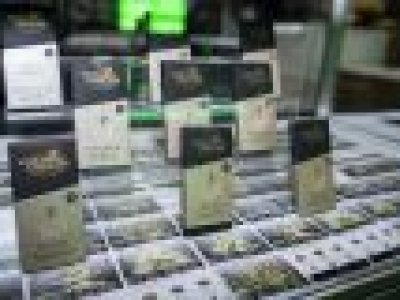 Com quatro estandes na 1ª Expo Cannabis Brasil Milgrows comemora profissionalização do setor