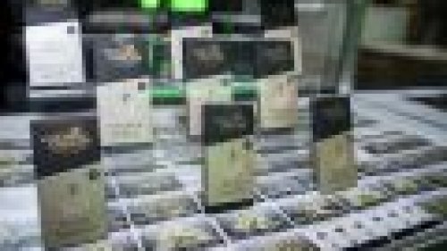 Com quatro estandes na 1ª Expo Cannabis Brasil Milgrows comemora profissionalização do setor