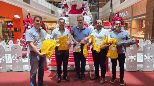 Árvore Solidária do ShoppingSantaÚrsula presenteia crianças