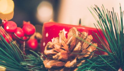 Feirinha do Produtor realiza edição especial de Natal com entrada gratuita em Ribeirão Preto