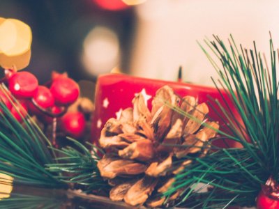 Feirinha do Produtor realiza edição especial de Natal com entrada gratuita em Ribeirão Preto