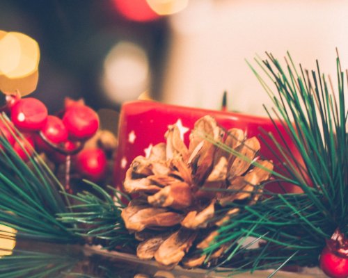 Feirinha do Produtor realiza edição especial de Natal com entrada gratuita em Ribeirão Preto