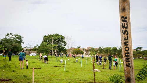 ArboreSer encerra temporada com quase 1,5 mil árvores plantadas em Ribeirão Preto