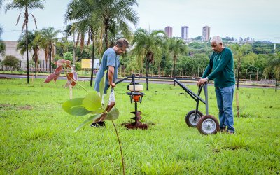 ArboreSer e Dia de Doar promovem mobilização social no Estádio Santa Cruz, em Ribeirão Preto