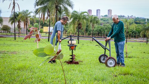 ArboreSer e Dia de Doar promovem mobilização social no Estádio Santa Cruz, em Ribeirão Preto