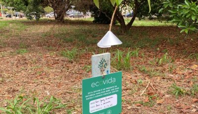 ArboreSer planta 50 mudas no bairro Alto da Boa Vista, em Ribeirão Preto