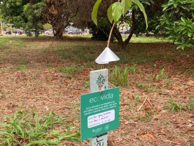 ArboreSer planta 50 mudas no bairro Alto da Boa Vista, em Ribeirão Preto