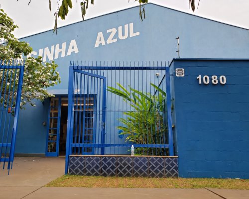 Campanha arrecada brinquedos para 128 crianças e adolescentes em Ribeirão Preto