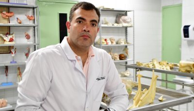 Disponível gratuitamente, vacinação antirrábica é eficaz e deve ser aplicada anualmente em cães e gatos