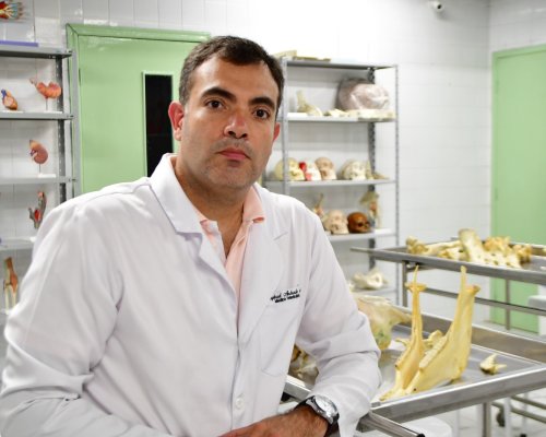 Disponível gratuitamente, vacinação antirrábica é eficaz e deve ser aplicada anualmente em cães e gatos