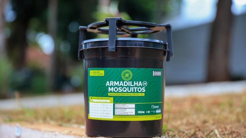 QUANDO A PREVENÇÃO FALHA, ALGUÉM PODE FALTAR: RIBEIRÃO REFORÇA COMBATE À DENGUE