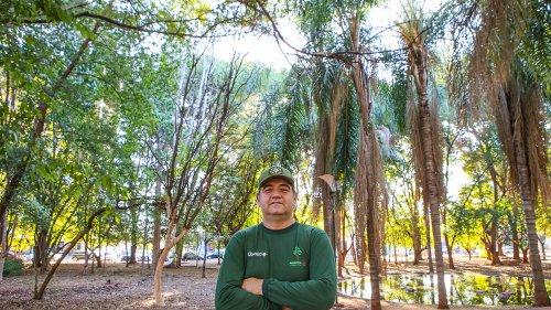 ArboreSer promove arborização e educação ambiental em Ribeirão Preto