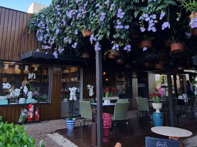 Uma das maiores floristas do Brasil ministra workshop gratuito no Festival das Orquídeas em Ribeirão Preto