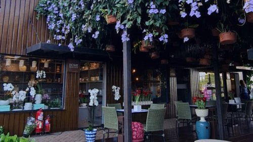 Uma das maiores floristas do Brasil ministra workshop gratuito no Festival das Orquídeas em Ribeirão Preto