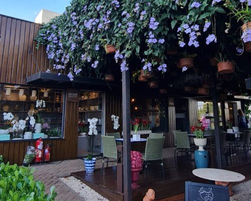 Uma das maiores floristas do Brasil ministra workshop gratuito no Festival das Orquídeas em Ribeirão Preto