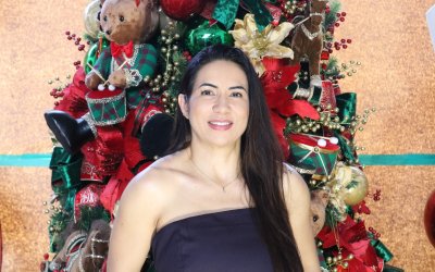 Natal impulsiona vendas e aquece setor de decoração na cidade