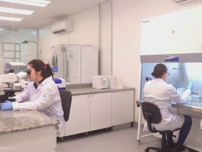 Grupo Santa Clara lança bionematicida para cana-de-açúcar