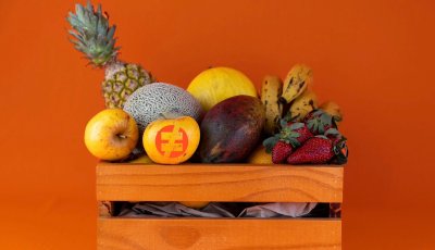 Upcycling food: startups apostam no conceito para reduzir geração de resíduos e combater o desperdício de alimentos