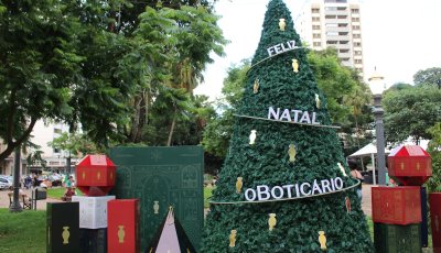 Natal do Boticário chega a Ribeirão Preto com árvore iluminada no Centro