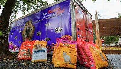 Banco de Rações já destinou cerca de 1 tonelada para pets em Ribeirão