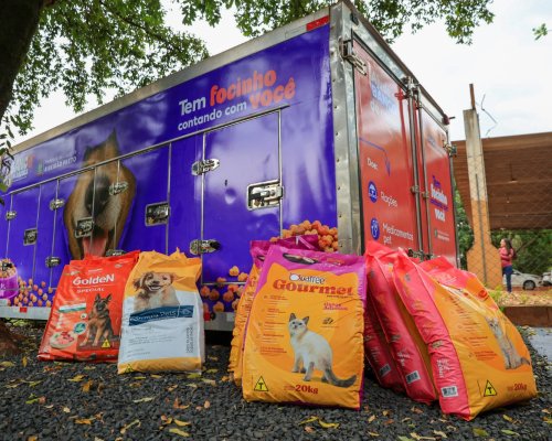 Banco de Rações já destinou cerca de 1 tonelada para pets em Ribeirão
