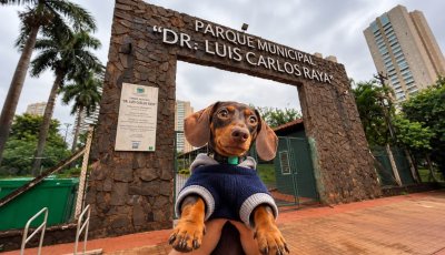 Super Encontro de Salsichas reúne cães e tutores no Parque Raya neste domingo