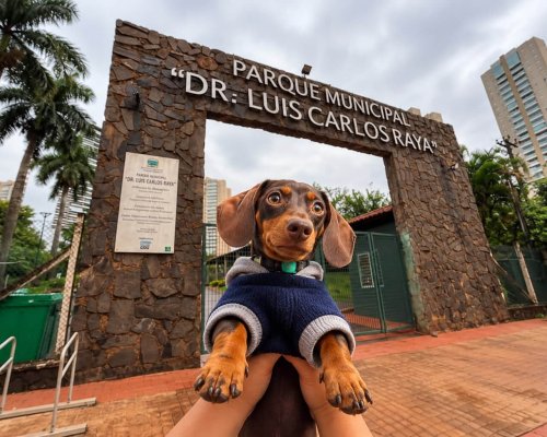 Super Encontro de Salsichas reúne cães e tutores no Parque Raya neste domingo