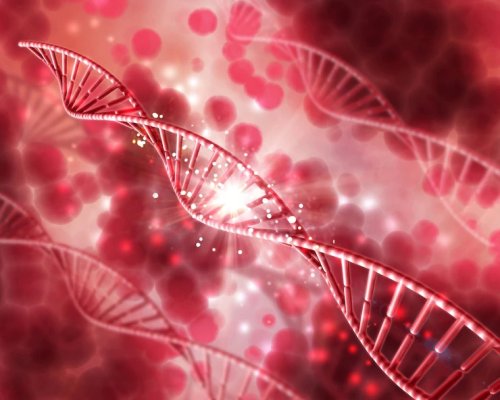  Campanha Fevereiro Laranja alerta sobre sintomas, diagnóstico e alternativas de tratamento da leucemia