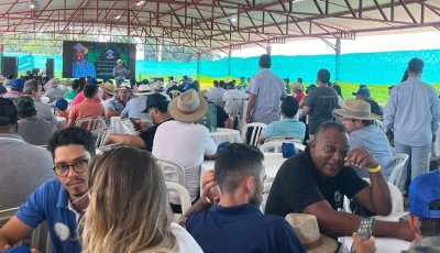 2º Movimento Coffee Brazil: a revolução da cafeicultura técnica
