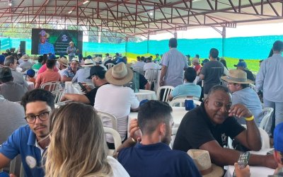 2º Movimento Coffee Brazil: a revolução da cafeicultura técnica
